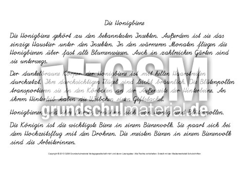 Die-Honigbiene-Abschreibtext-SAS.pdf